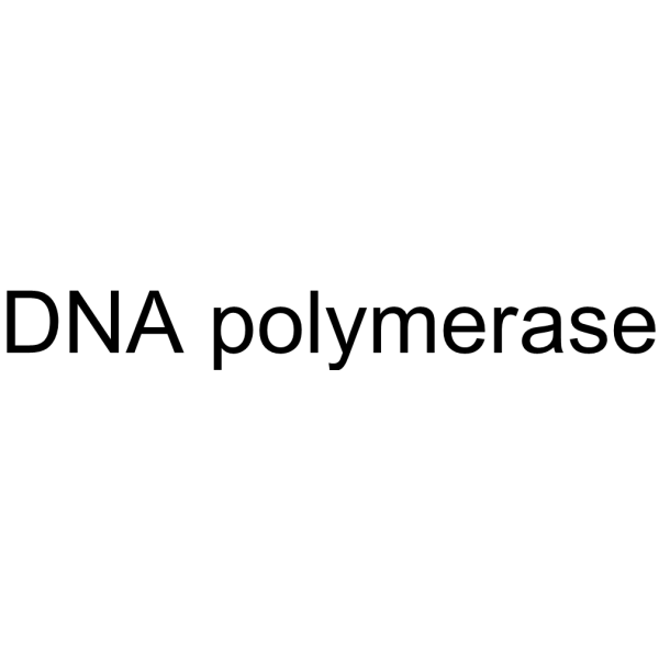DNA polymerase 9012-90-2